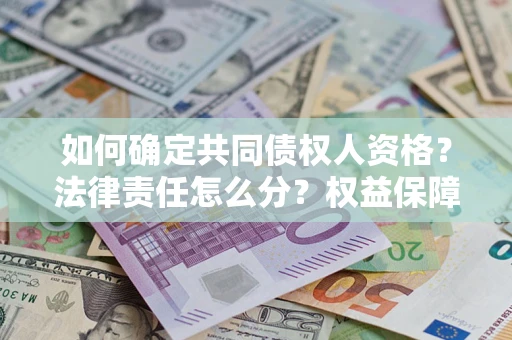 北京如何确定共同债权人资格？法律责任怎么分？权益保障技巧揭秘！
