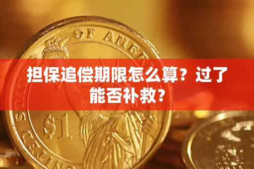 北京担保追偿期限怎么算？过了能否补救？